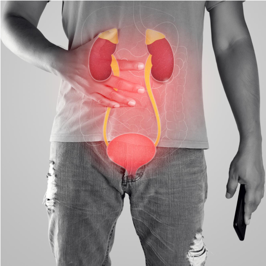 Urology